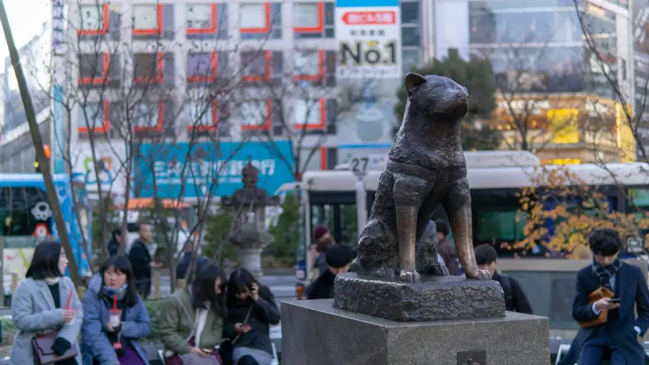 Hachikō dog in Shibuya, Tokyo