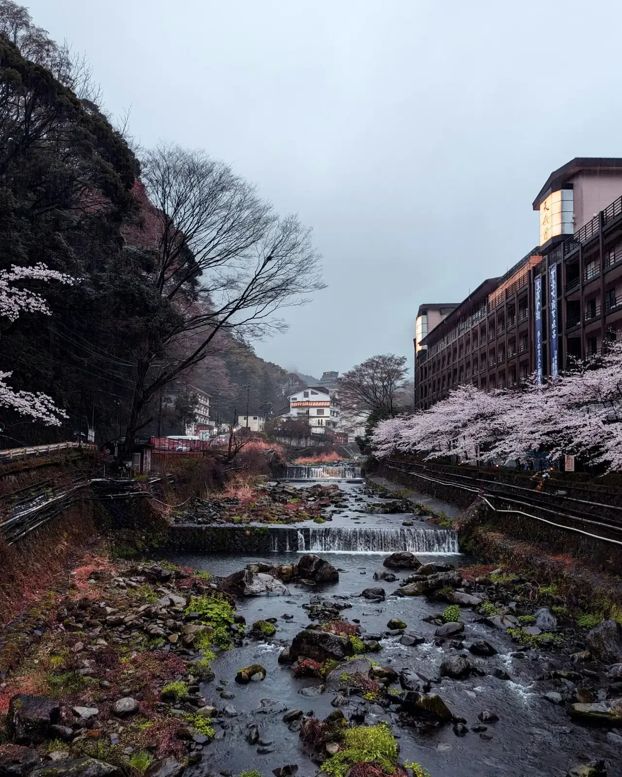 Hakone Ryokan with River view
