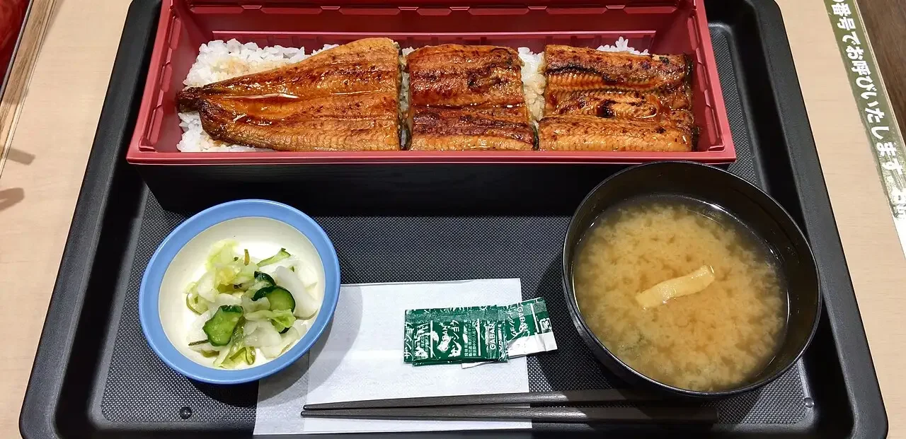 Matsuya grilled Eel with rice
