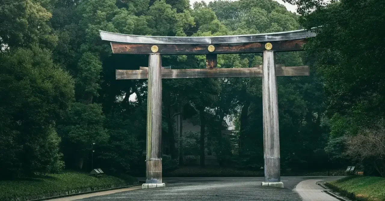 Meiji Shrine, Harajuku & Yoyogi Park: Tradition Meets Tokyo Street Culture