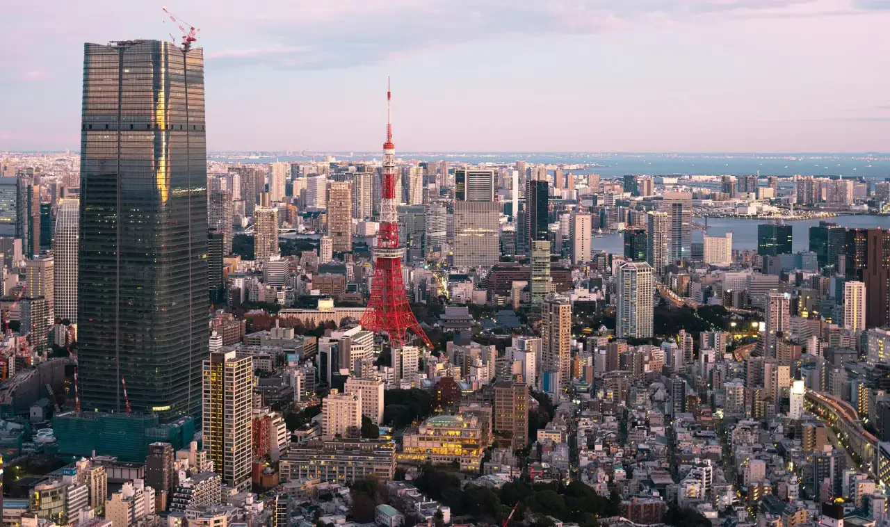Tokyo Metropolitan Government Observatory View
