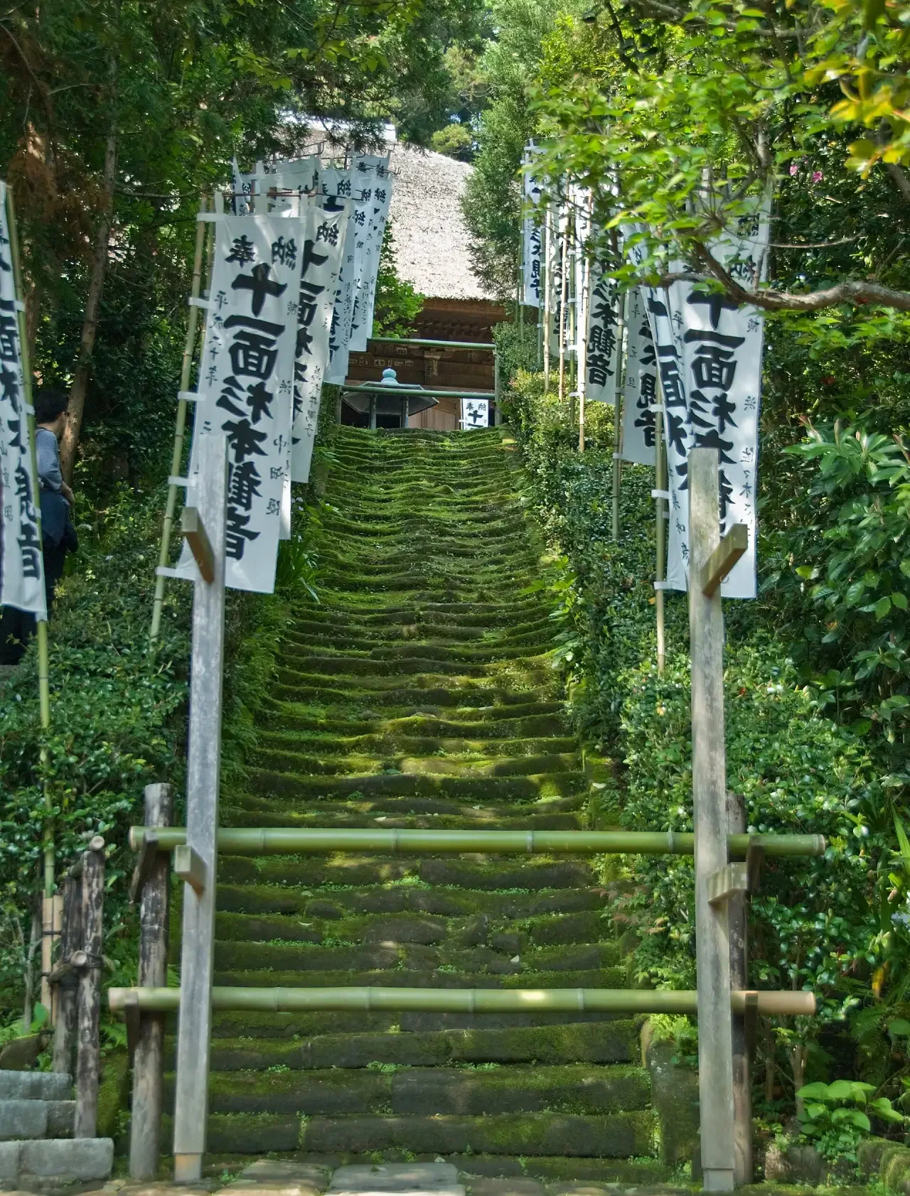 Sugimotodera staircase covered in moss