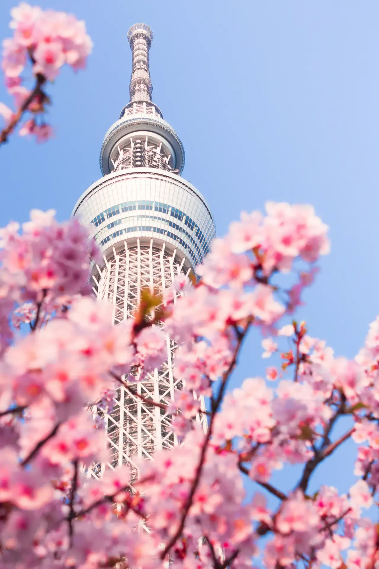 Tokyo Skytree, Asakusa
