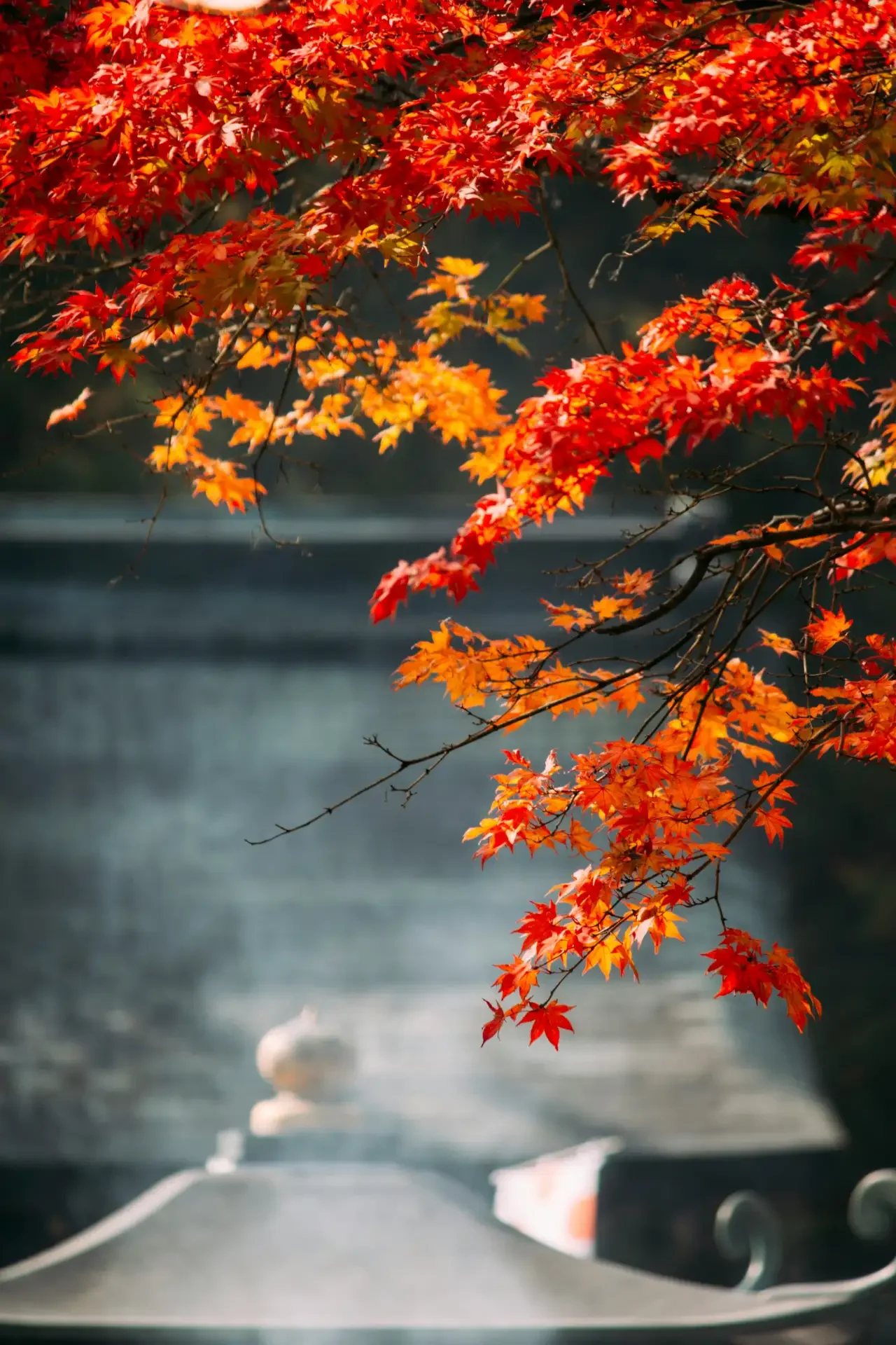Autumn in Nikko, Japan