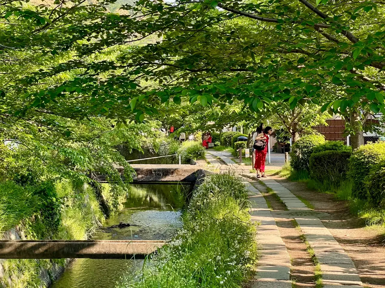 Philosopher's Path in Kyoto Philosopher's Path in Kyoto