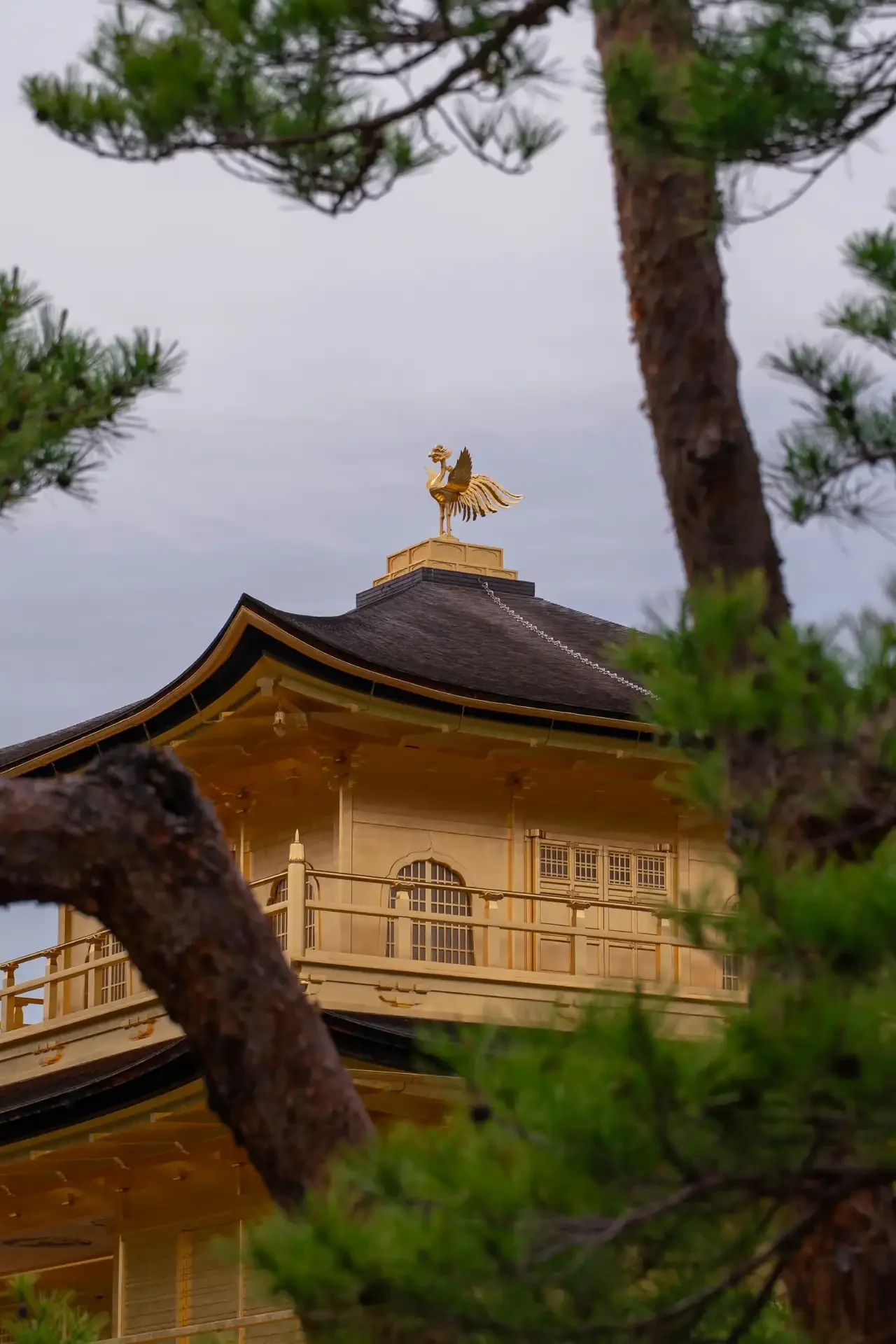 The Phoenix on Top of Kinkaku-ji