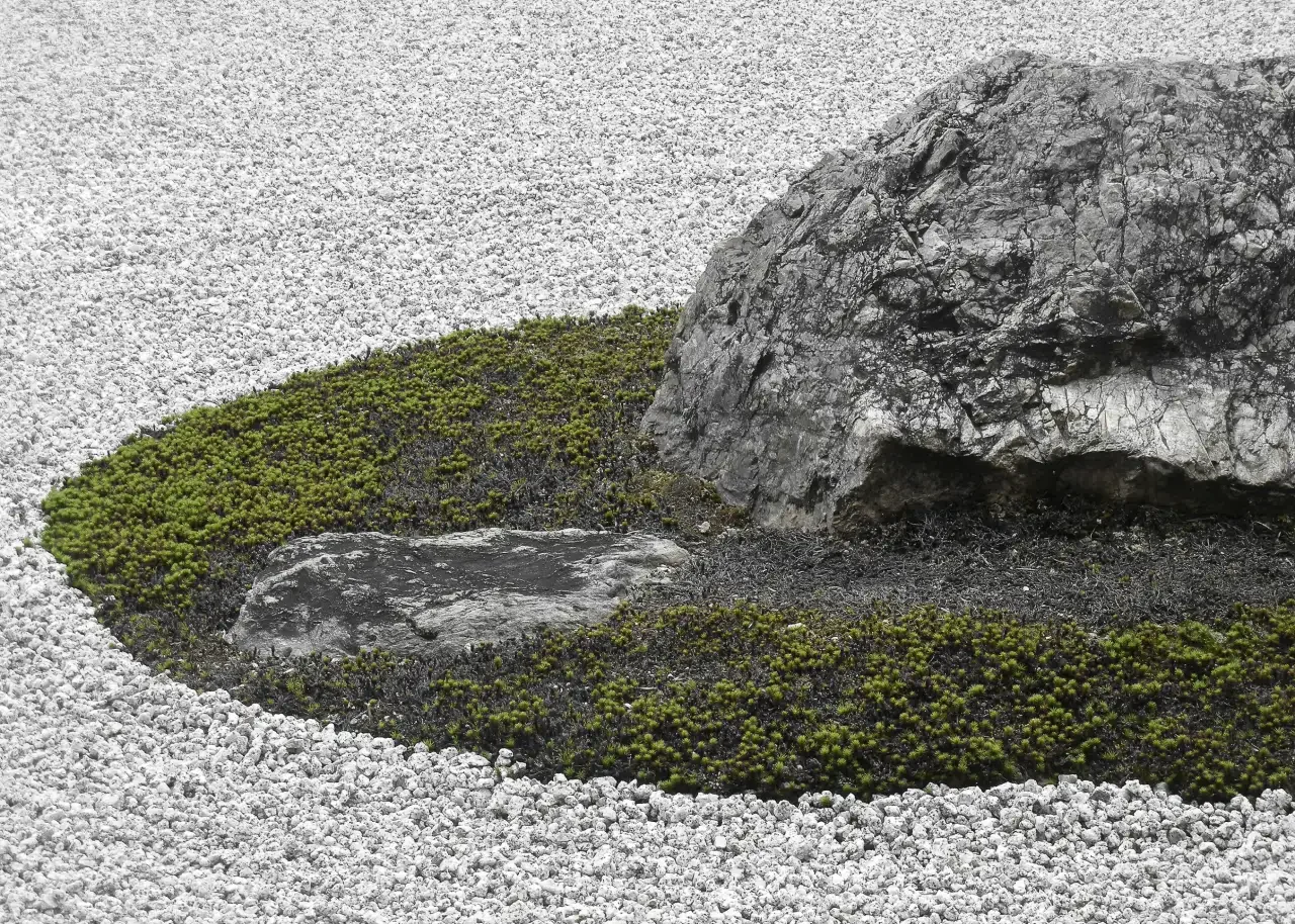 Ryōan-ji Temple Stone