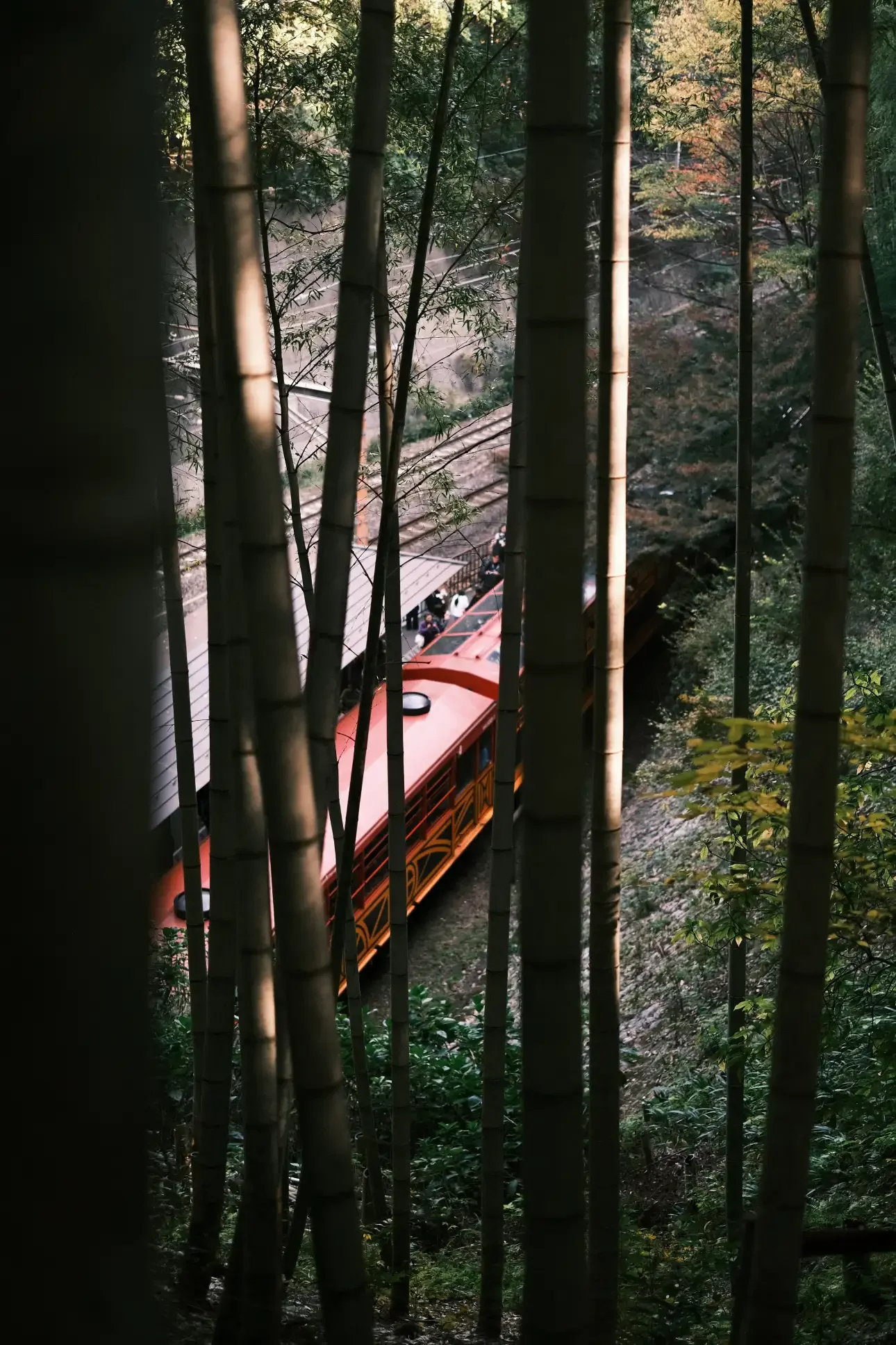 Train near Arashiyama Bamboo Grove